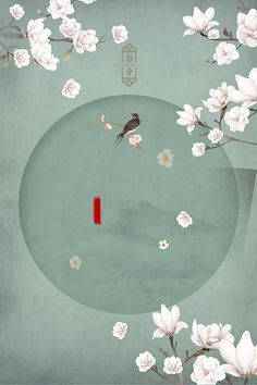 白虎一线天泄密
